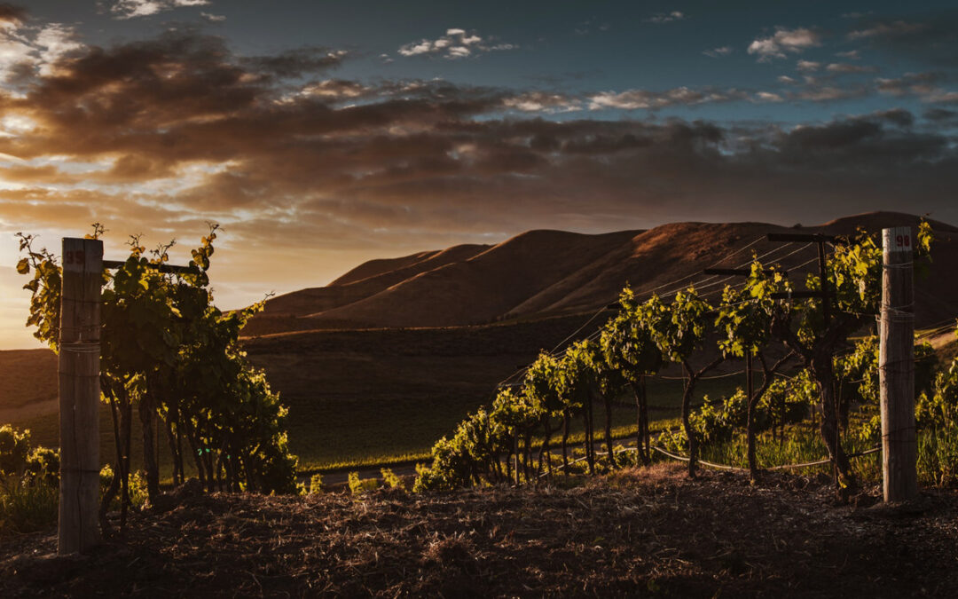 Winery Tours-1