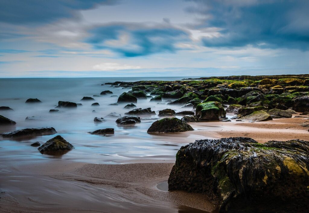 Berwick-Pearl