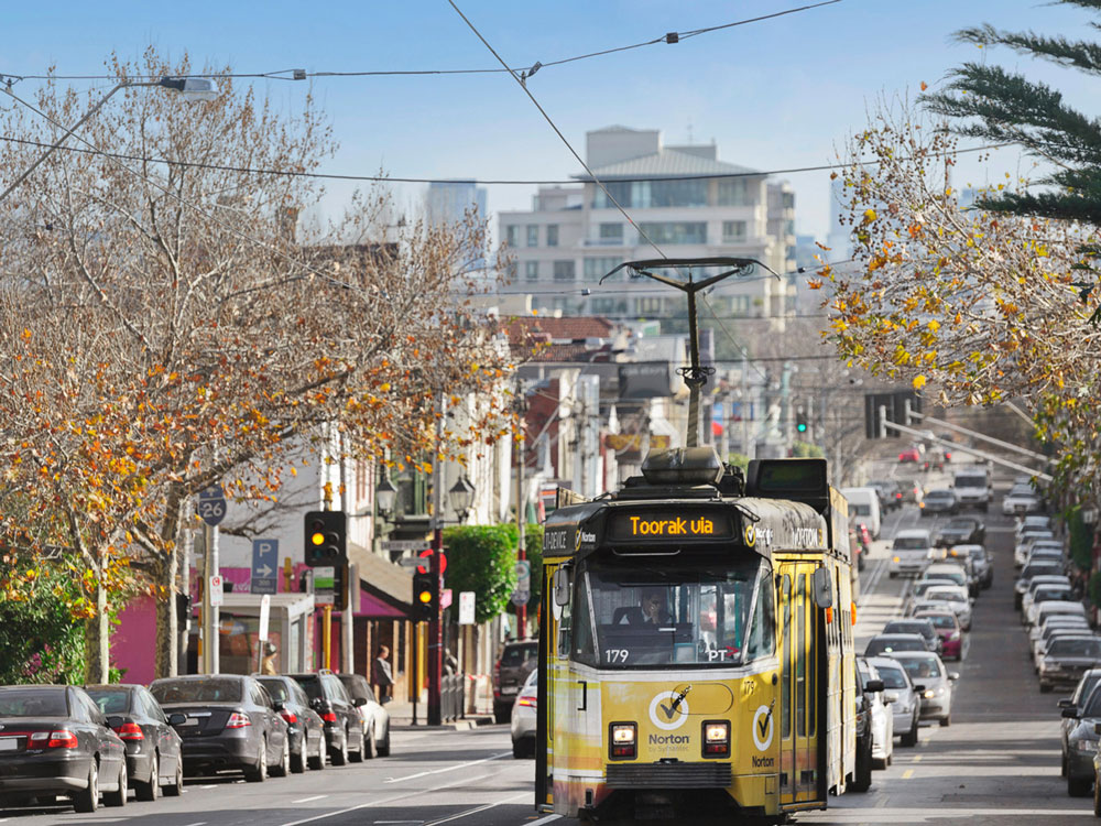 Toorak-Pearl