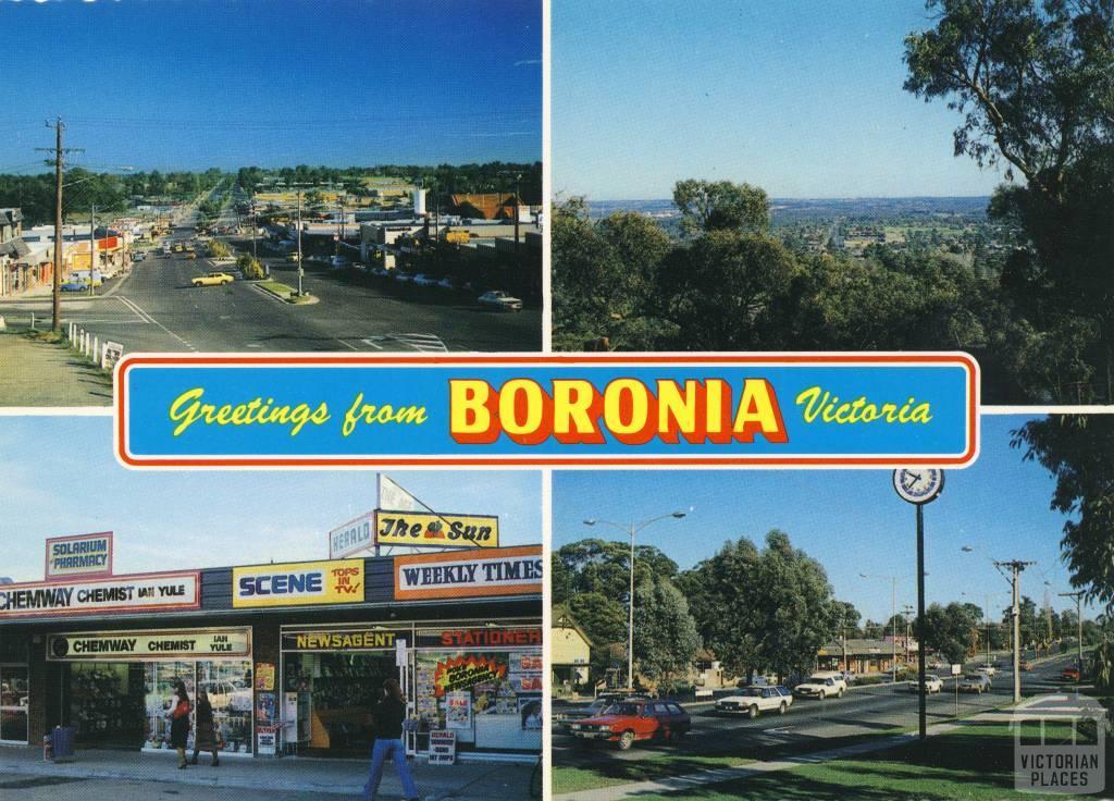 Boronia-Pearl