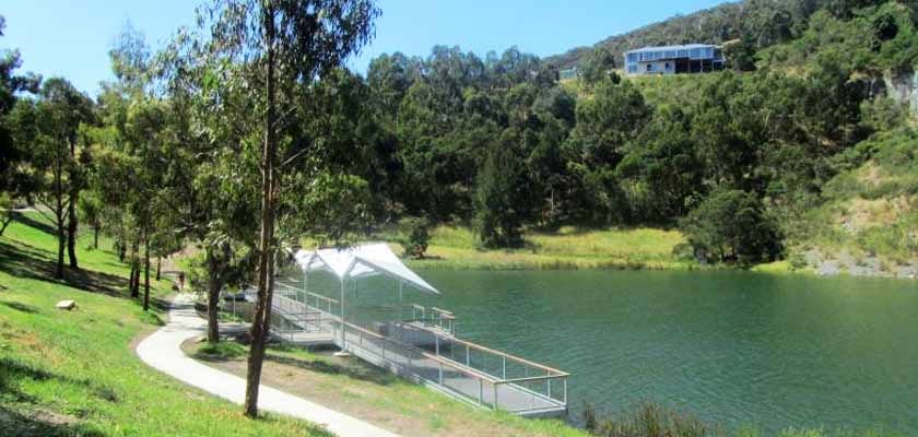 Ferntree-Gully-Pearl