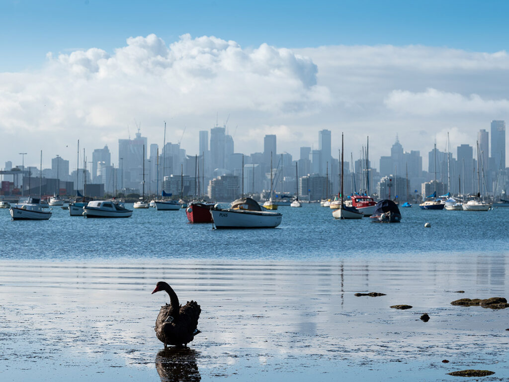 Williamstown-Pearl-Melbourne