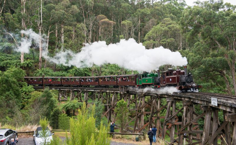 Gembrook-Pearl