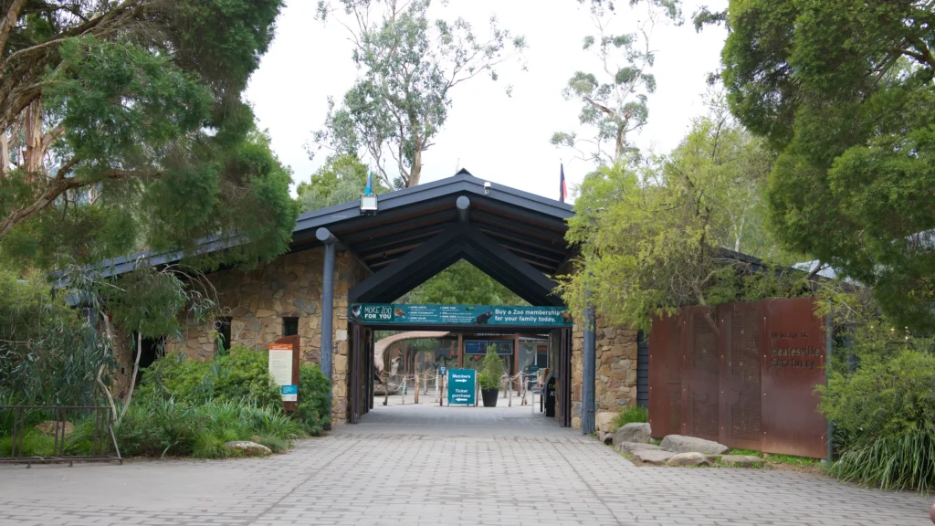 Healesville-Pearl