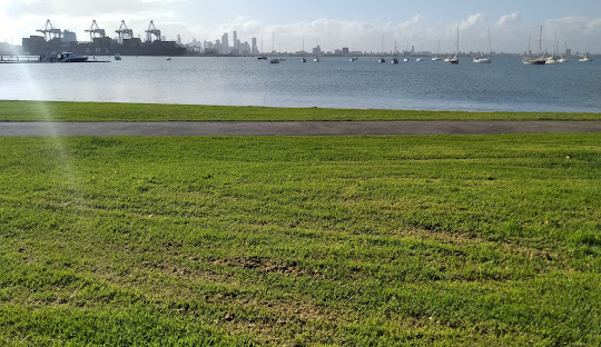 Williams-Landing-Pearl