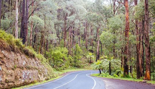 Yarra-Junction-Pearl