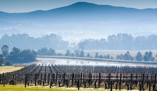 Yarra-Valley-Pearl