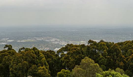 Mount-Dandenong-Pearl